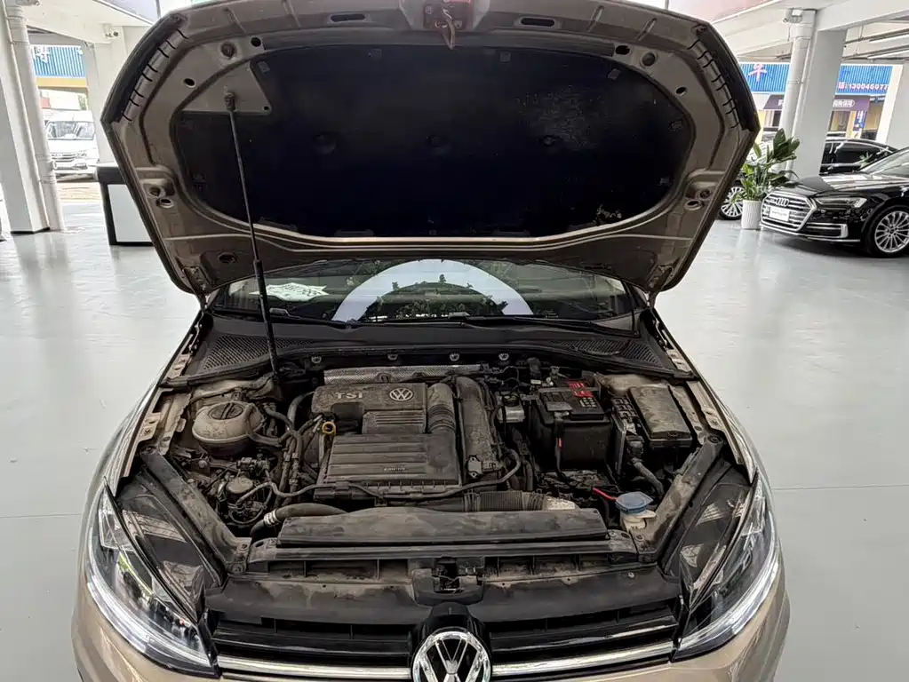 Volkswagen Golf — миниатюра 17