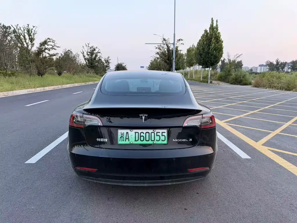 Tesla Model 3 — миниатюра 8