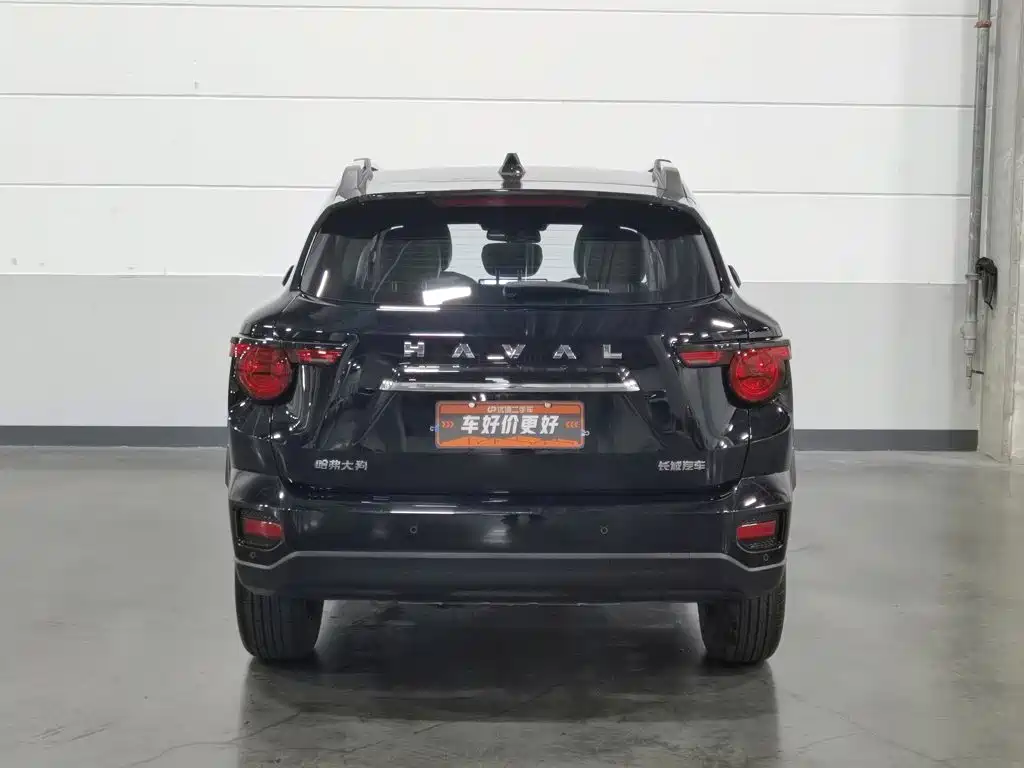 Haval Big Dog PLUS — миниатюра 4