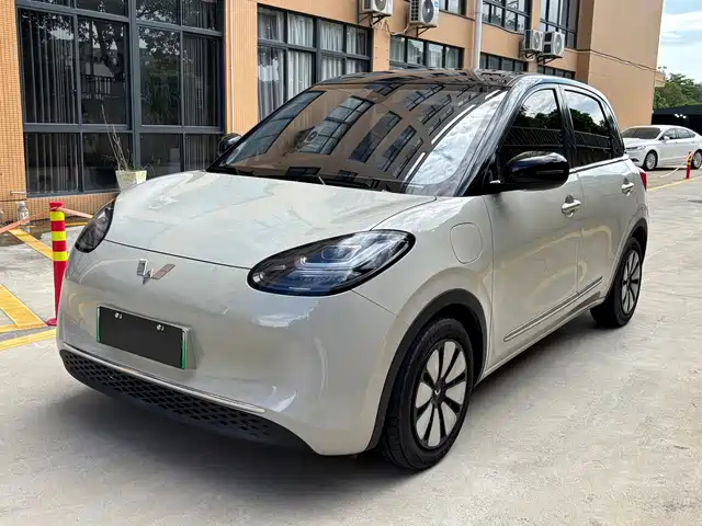 2024 Wuling Motors Binguo