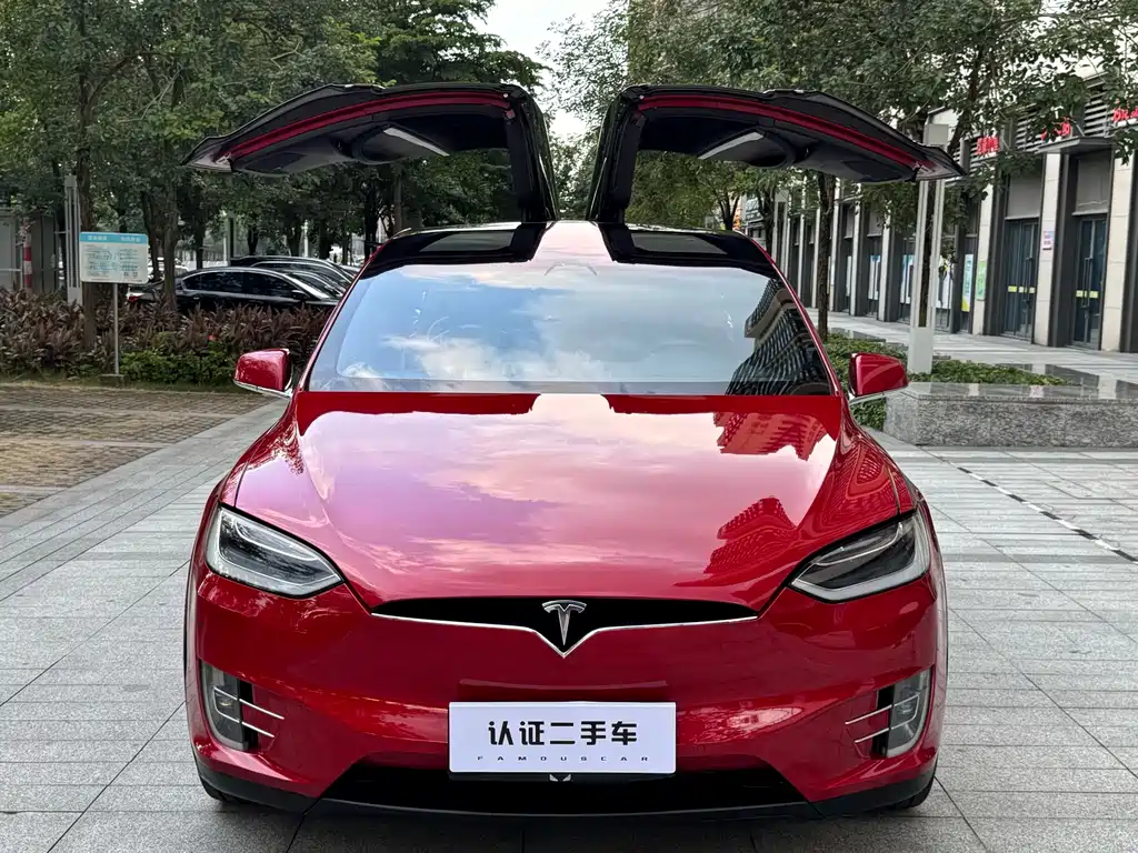 Tesla Model X — миниатюра 2