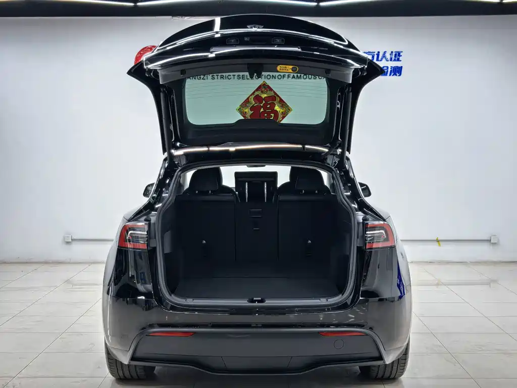Tesla Model Y — миниатюра 14
