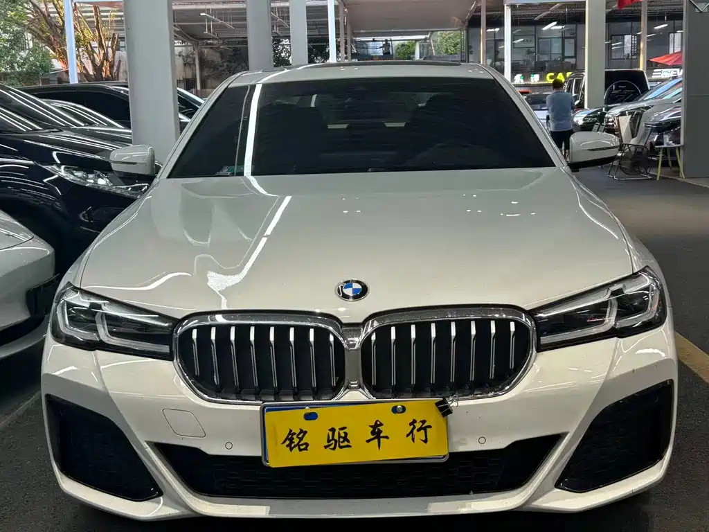 BMW 5 Series (Import) — миниатюра 2