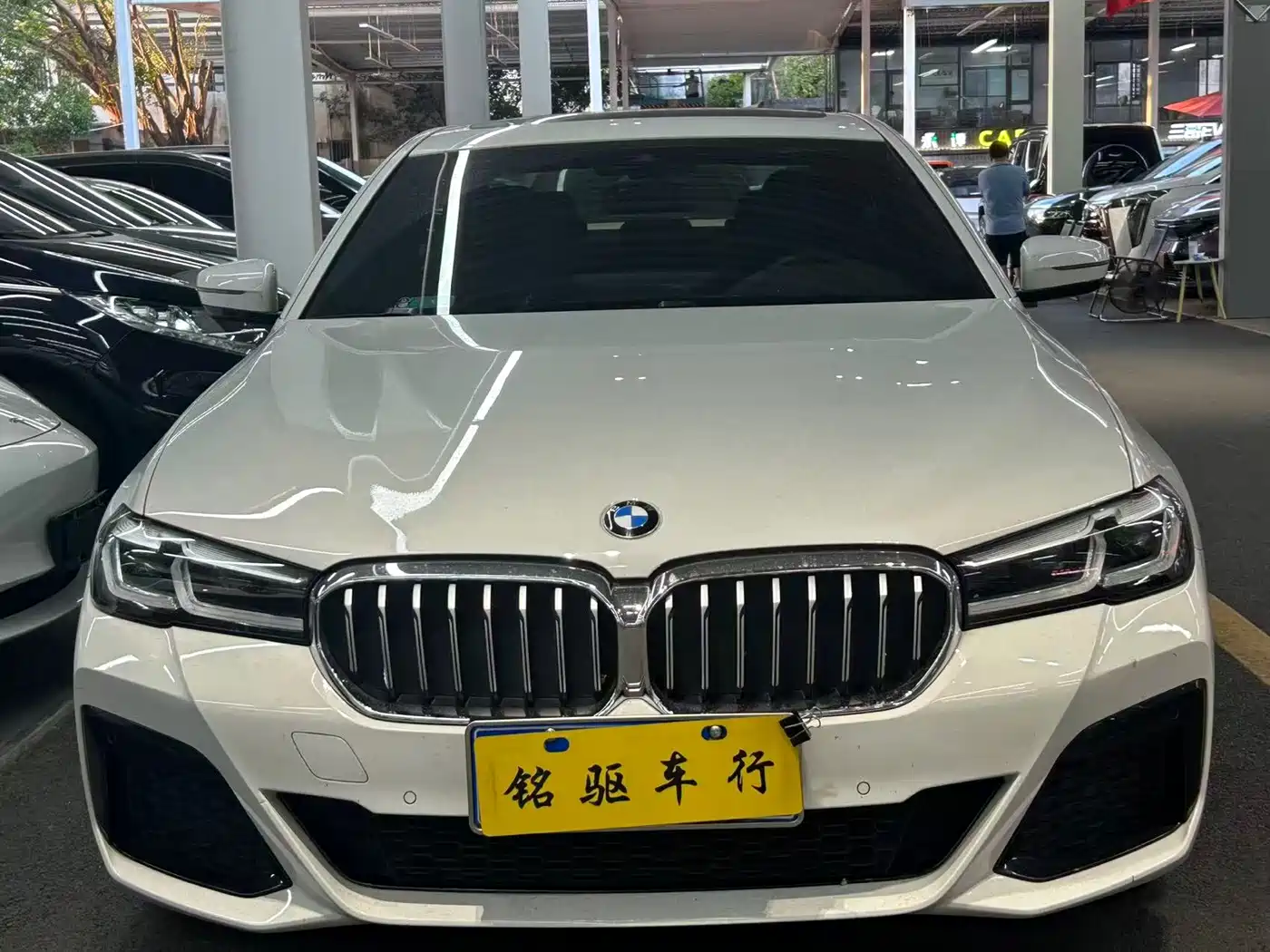 BMW 5 Series (Import)