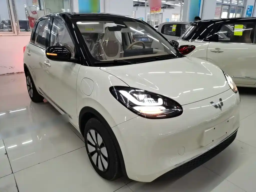 Wuling Binguo 2025 333km Enjoy