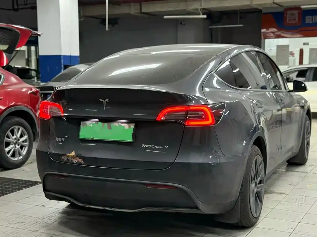 Tesla Model Y — миниатюра 2