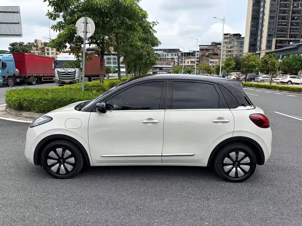 Wuling Binguo 2023 333km +