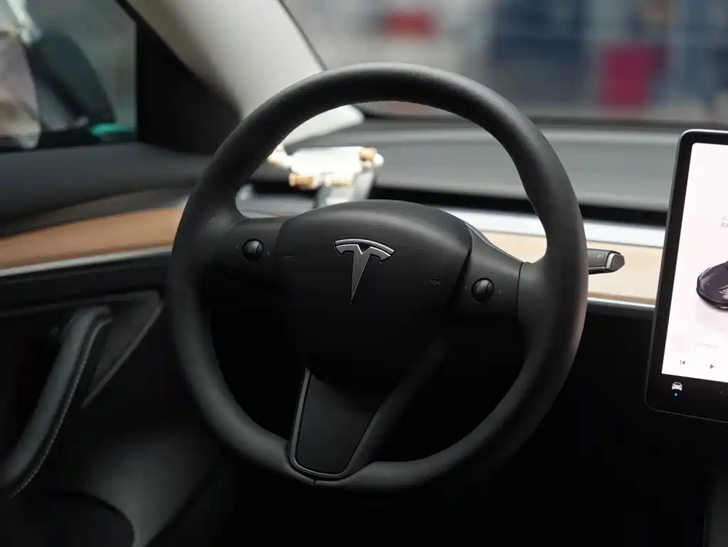 Tesla Model 3 — миниатюра 15