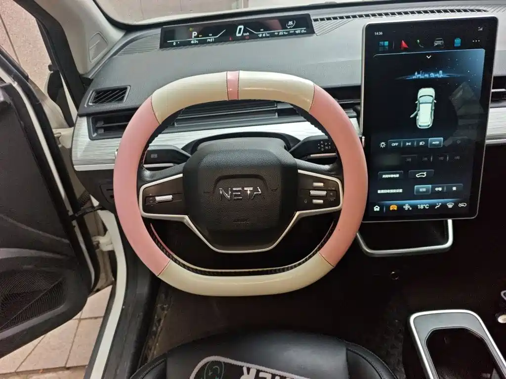 Neta Neta V — миниатюра 6
