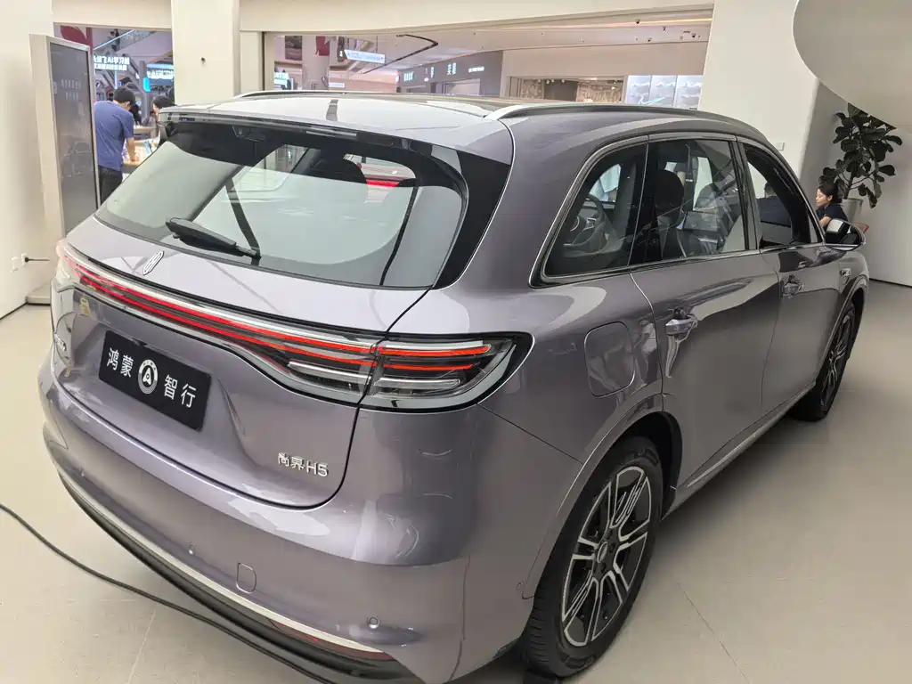 Shangjie Shangjie H5 — миниатюра 5