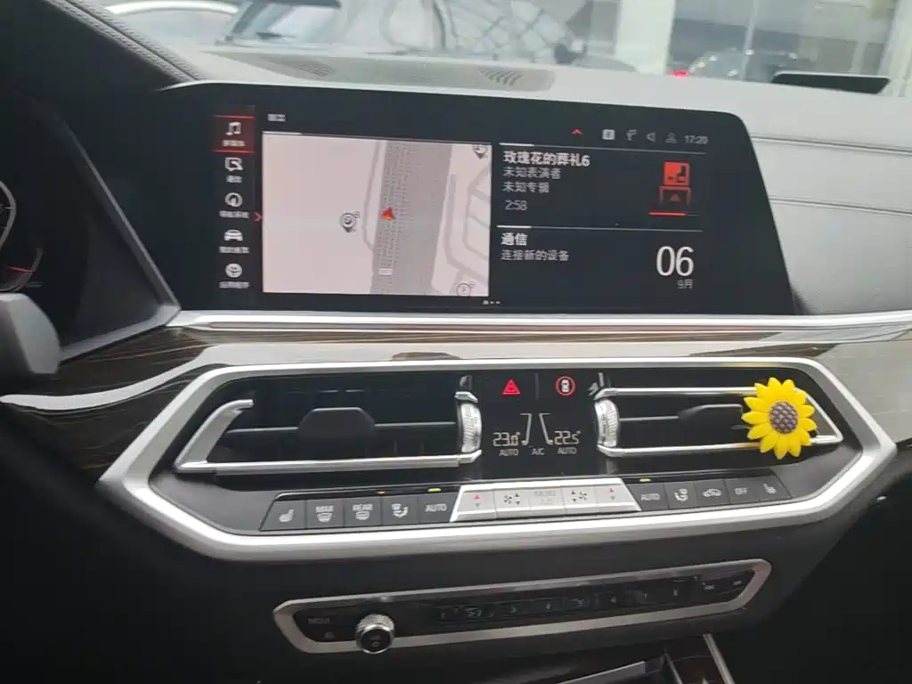 BMW X5 (Import) — миниатюра 18