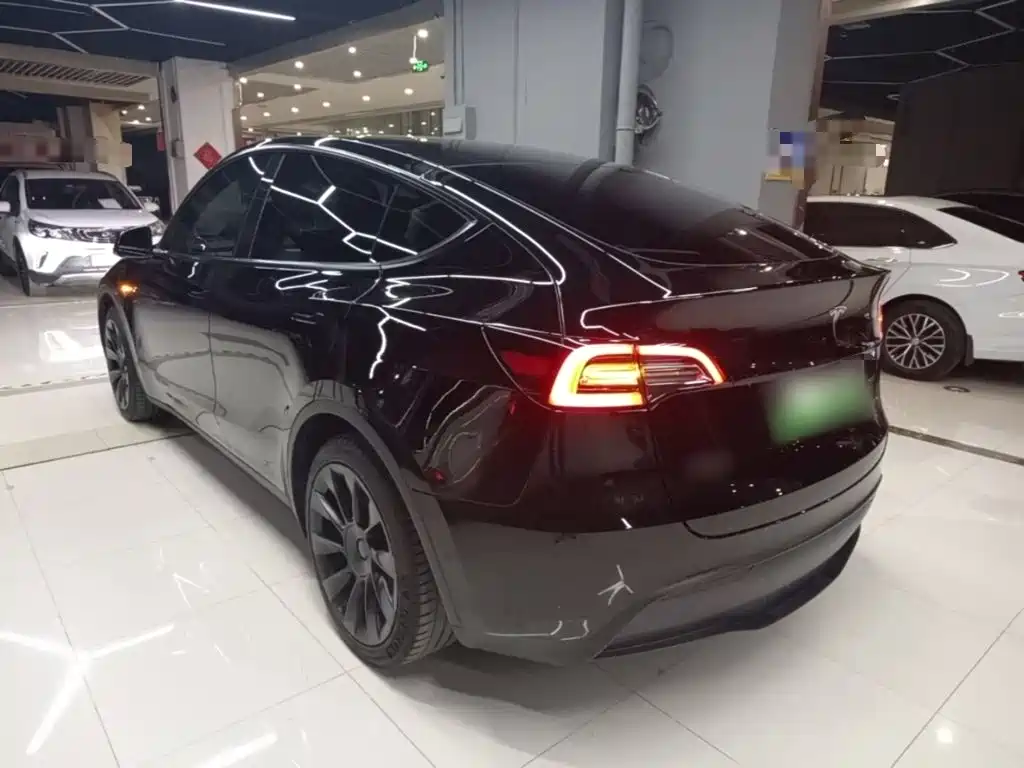 Tesla Model Y — миниатюра 5