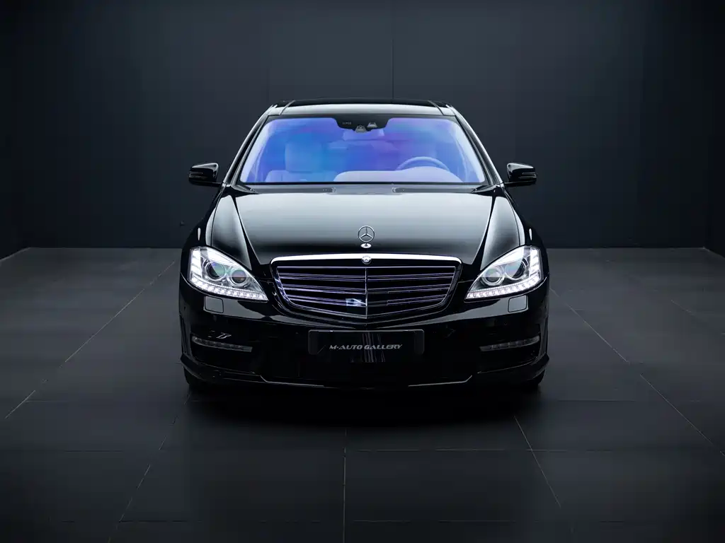 Mercedes-Benz S-Class AMG AMG S 65 L Grand Edition, фото 3