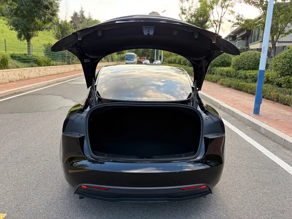 Tesla Model 3 — миниатюра 8
