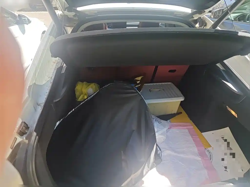 Volkswagen Lamando — миниатюра 15