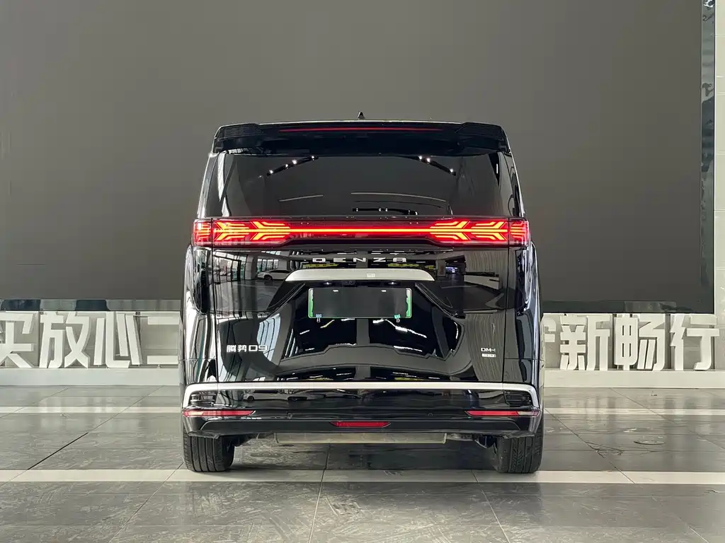 Denza Denza D9 — миниатюра 5