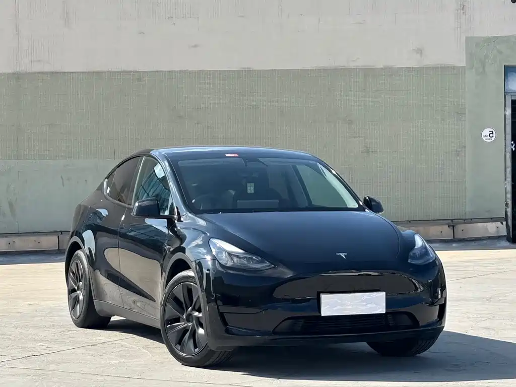 Tesla Model Y — миниатюра 3