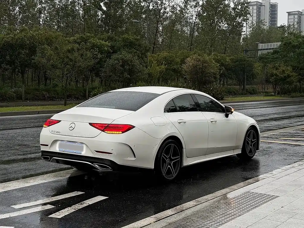 Mercedes-Benz CLS — миниатюра 14