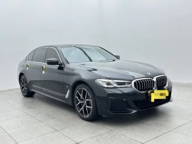 BMW 5 Series — миниатюра 3