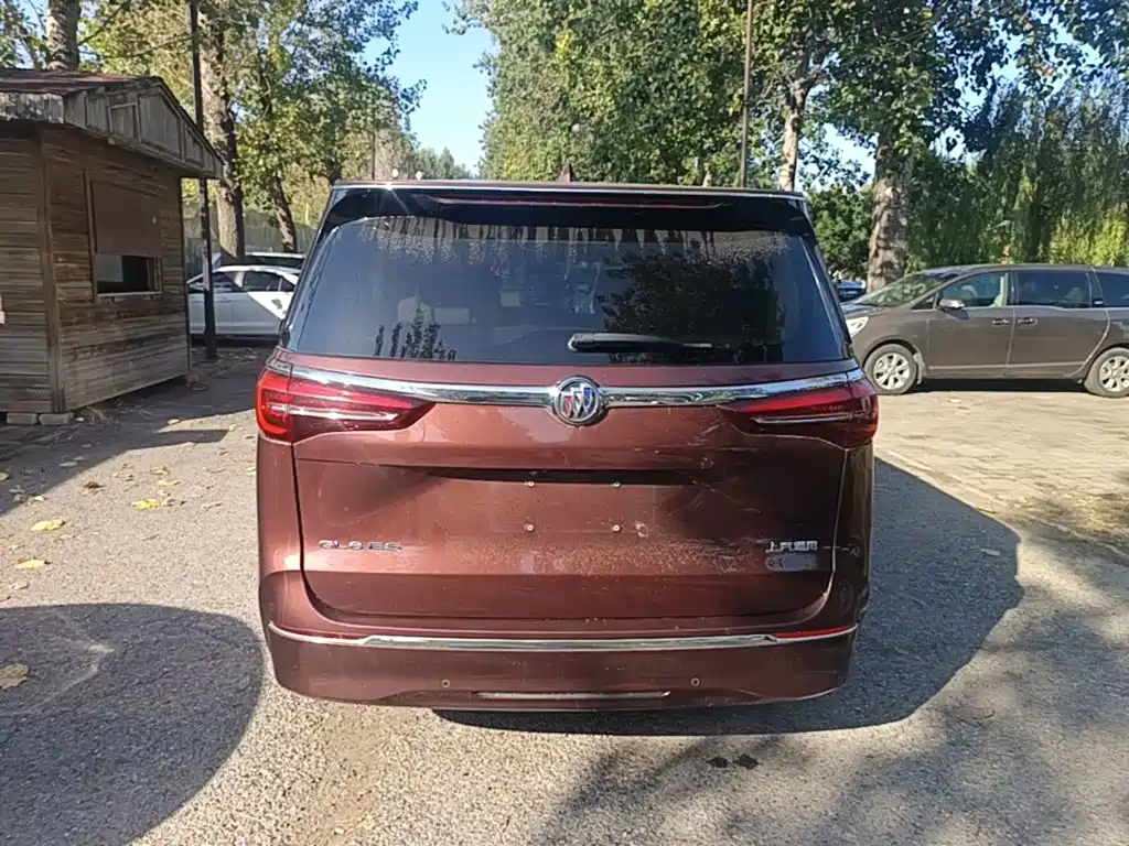 Buick GL8 — миниатюра 6