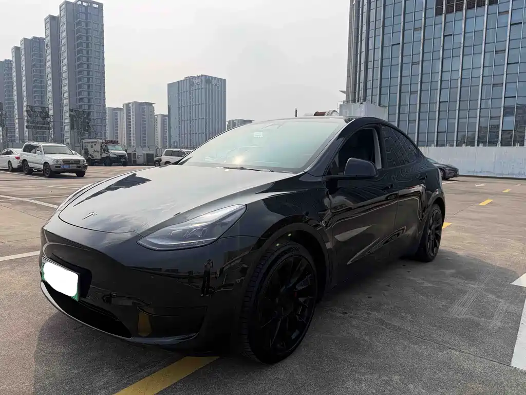 Tesla Model Y — миниатюра 3