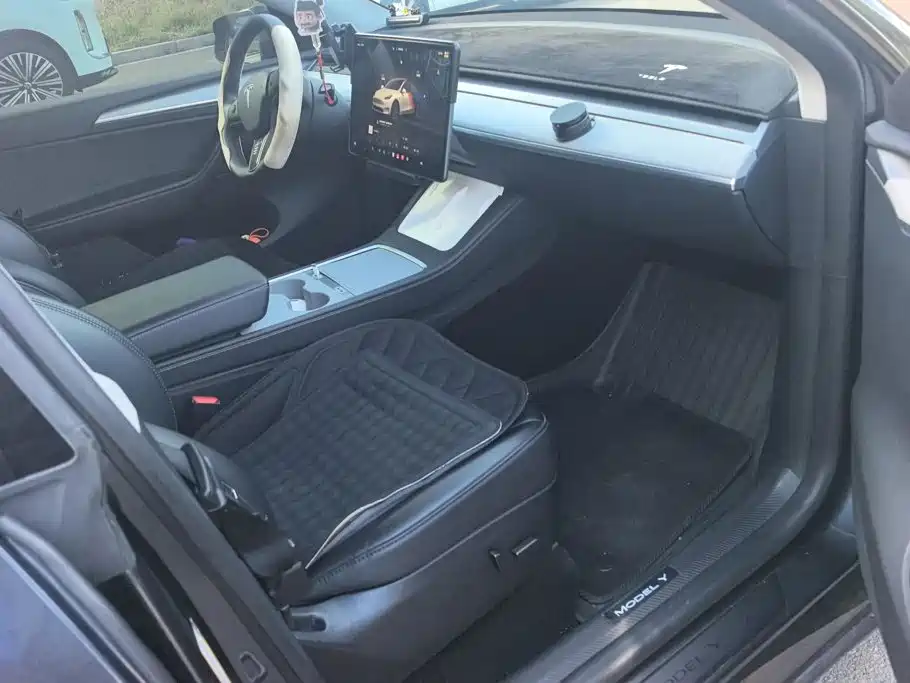 Tesla Model Y — миниатюра 8