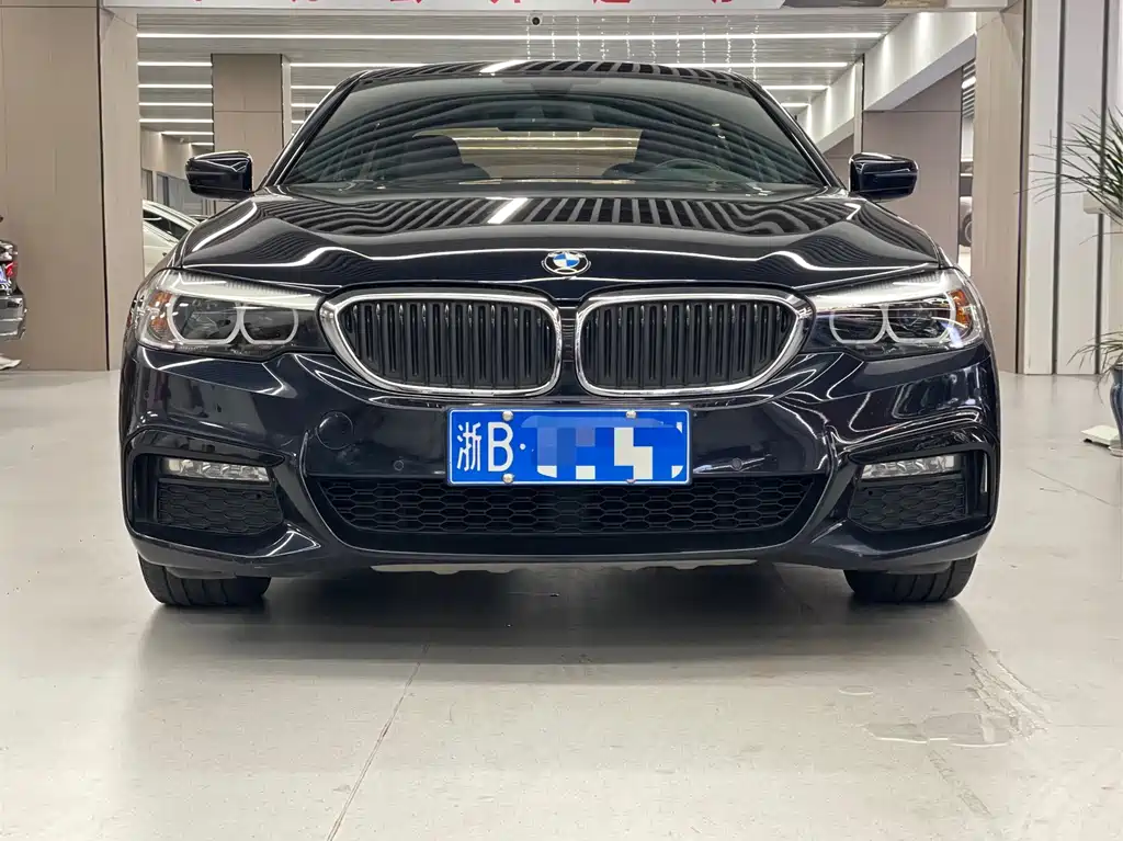 BMW 5 Series — миниатюра 2