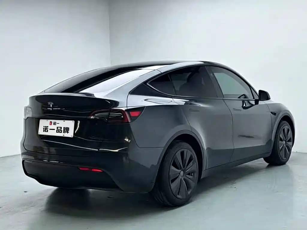 Tesla Model Y — миниатюра 4