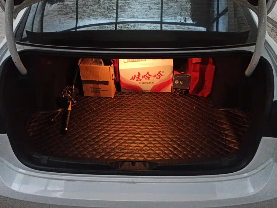 Volkswagen Lamando — миниатюра 4