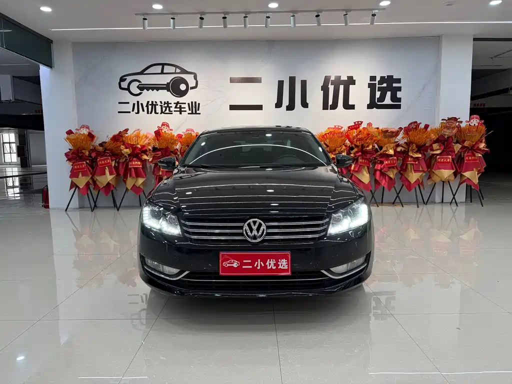 Volkswagen Passat — миниатюра 2