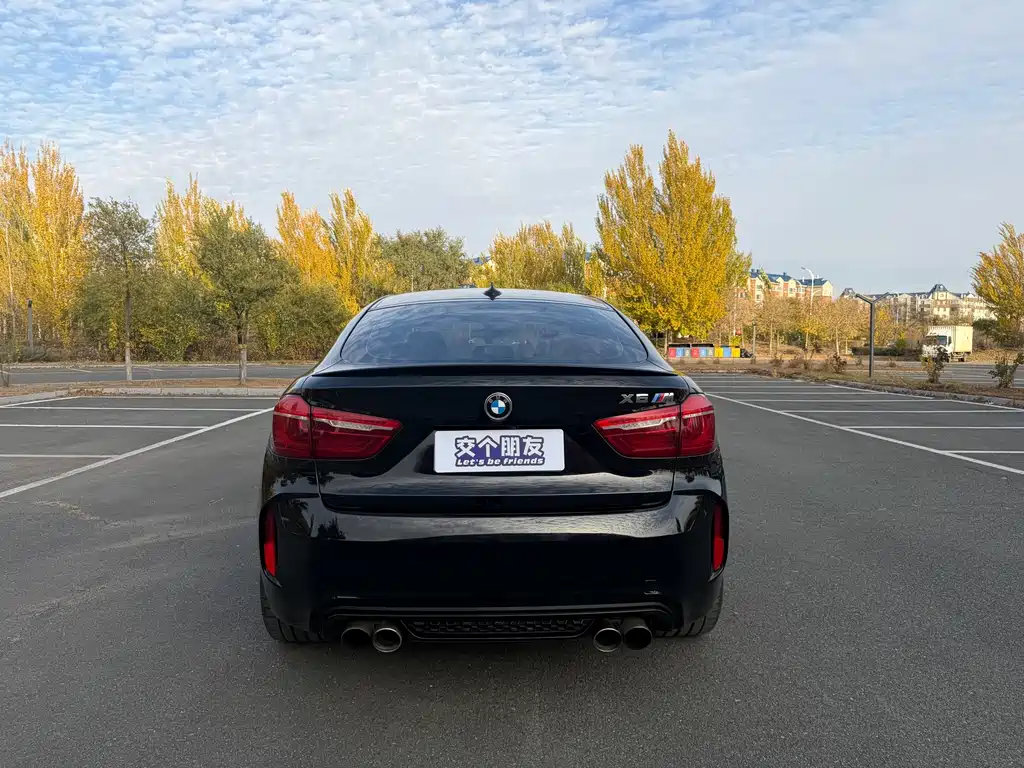 BMW X6 M — миниатюра 5