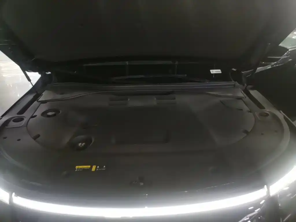 GAC Motor Trumpchi Xiangwang S9 — миниатюра 20