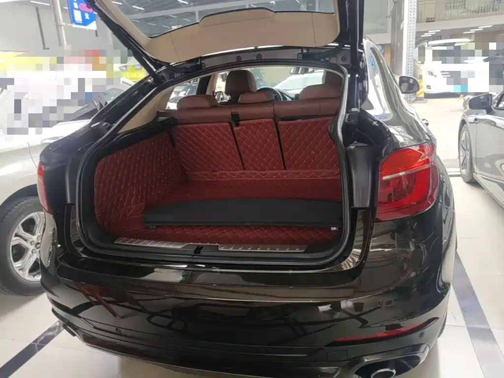 BMW X6 — миниатюра 19