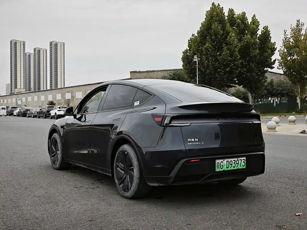 Tesla Model Y — миниатюра 7