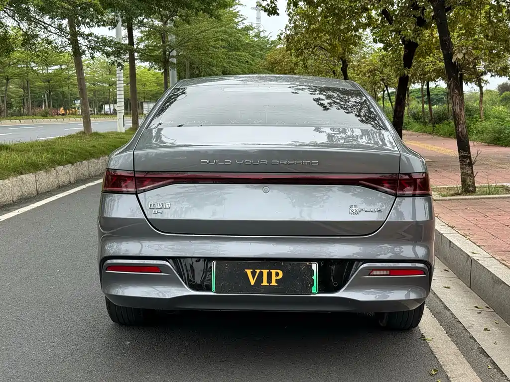 BYD Qin Plus PLUS 2024 DM-i 55KM Lead
