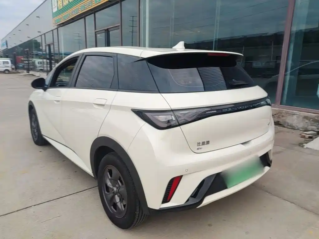 BYD Dolphin — миниатюра 5