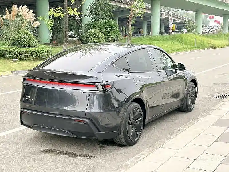 Tesla Model Y — миниатюра 10