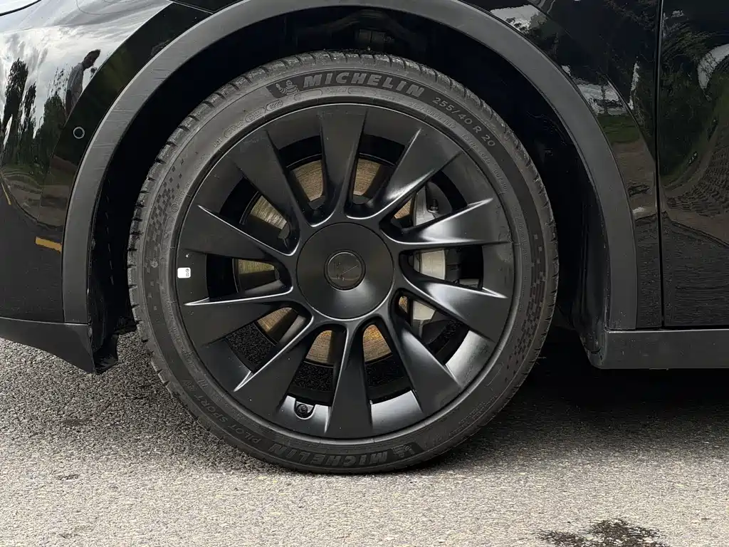 Tesla Model Y — миниатюра 12