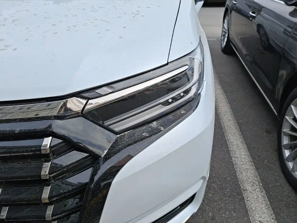 Honda Elysion — миниатюра 24