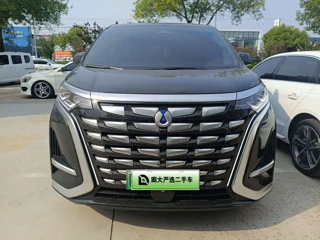 Denza Denza D9 — миниатюра 2
