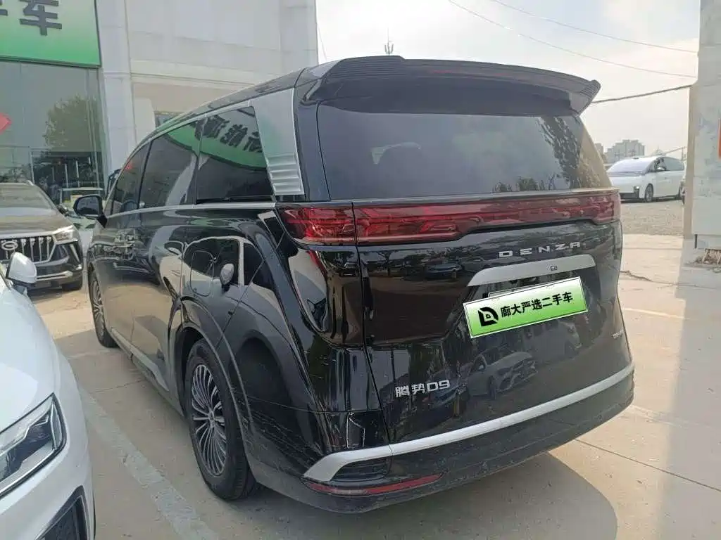 Denza Denza D9 — миниатюра 6