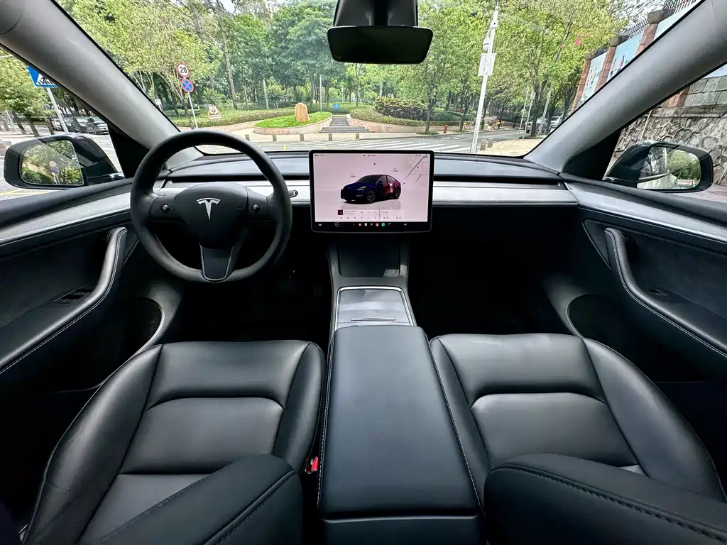 Tesla Model Y — миниатюра 11