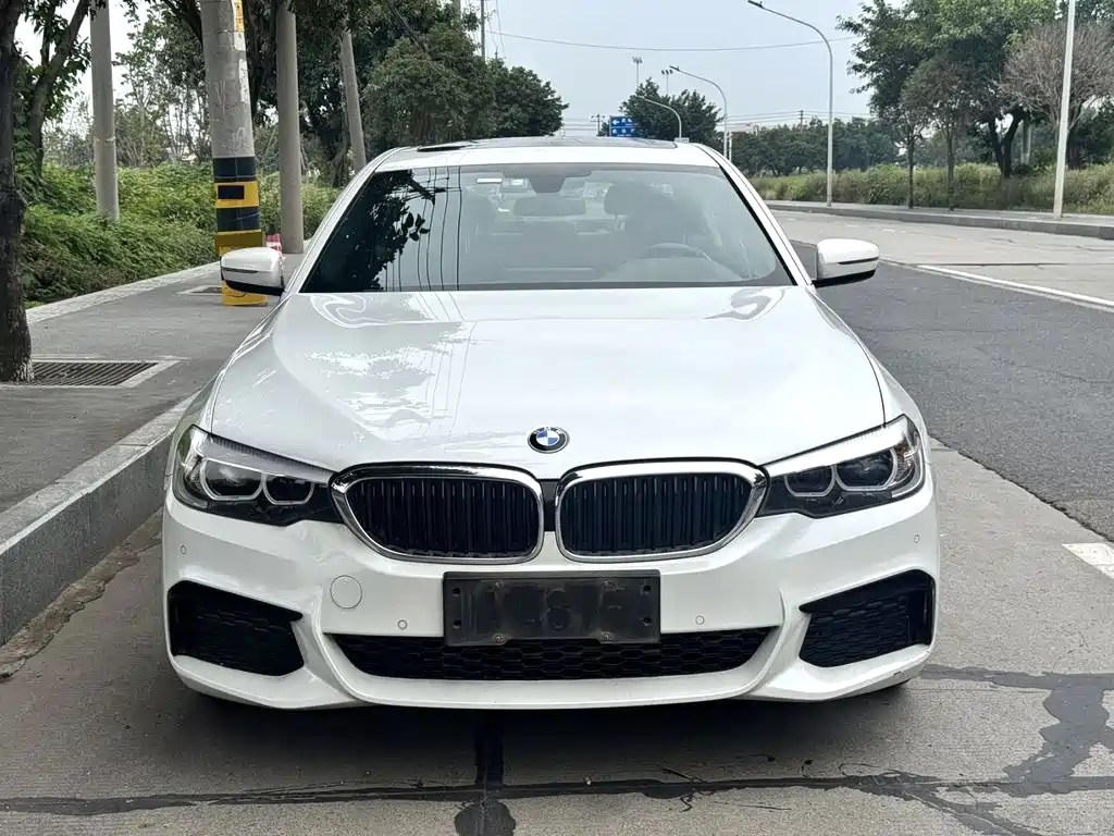 BMW 5 Series — миниатюра 2