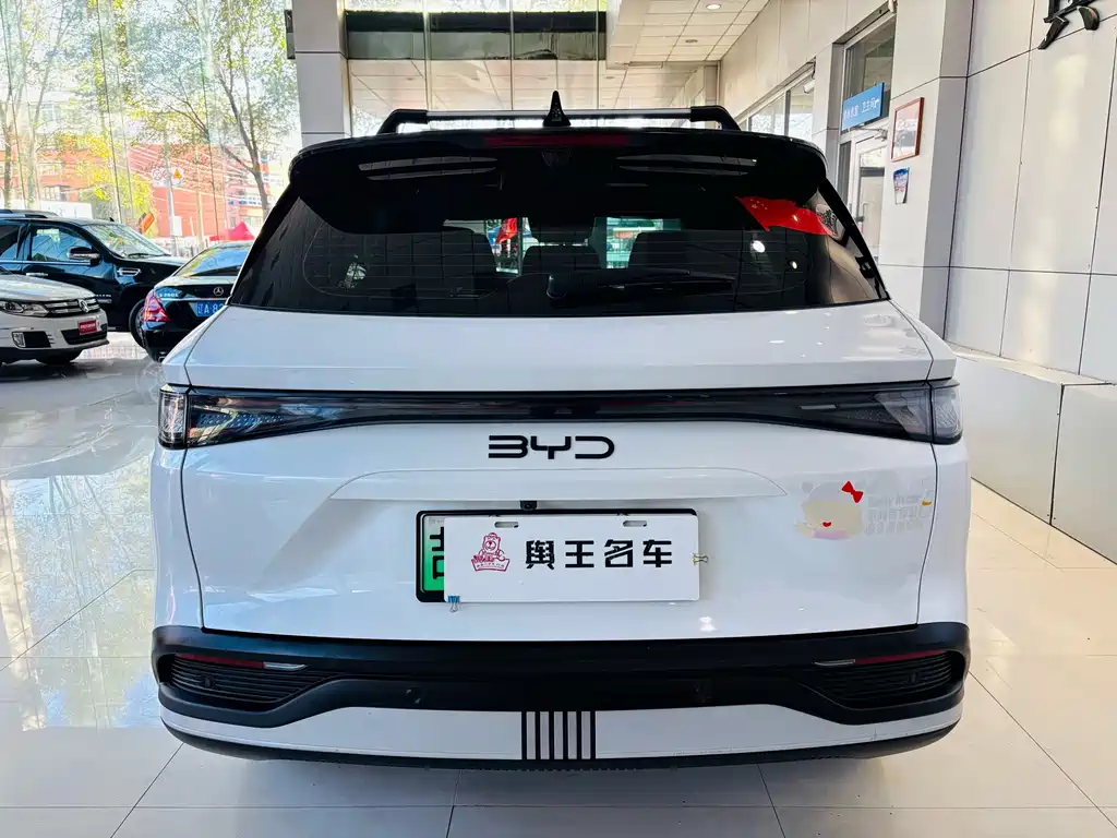 BYD Sealion 05 DM-i — миниатюра 6