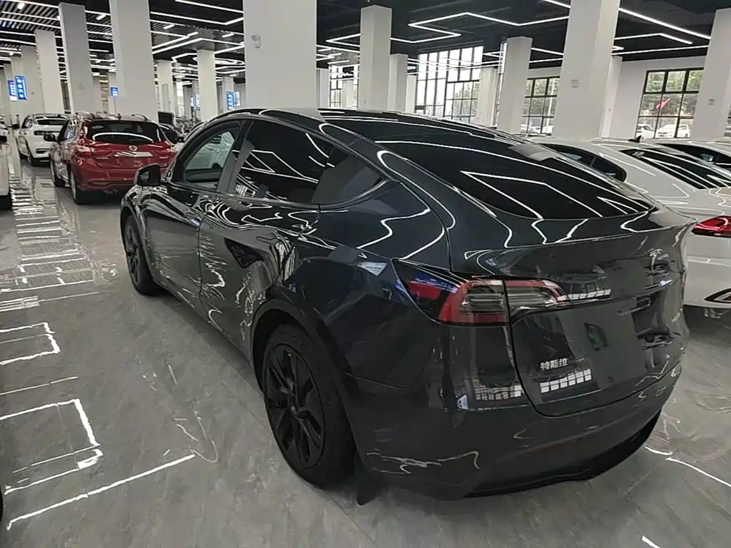 Tesla Model Y — миниатюра 5
