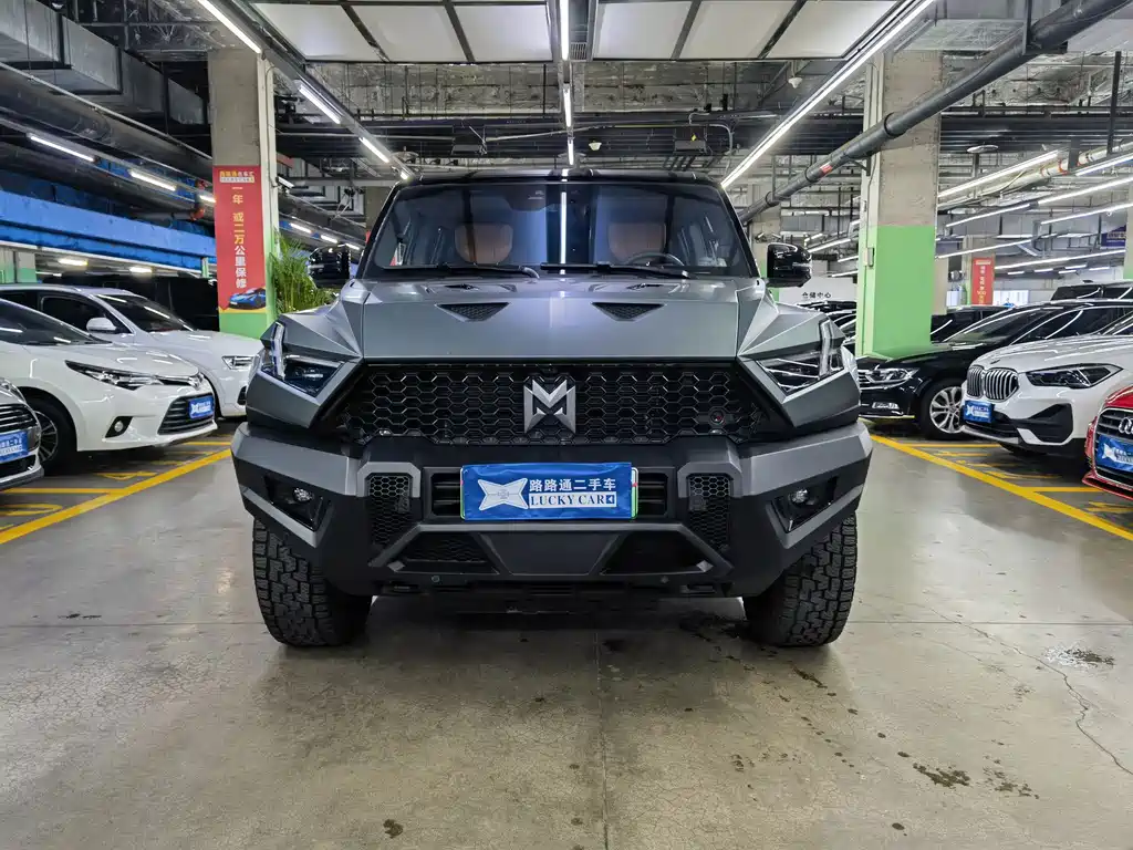 Mengshi Mengshi 917 — миниатюра 2