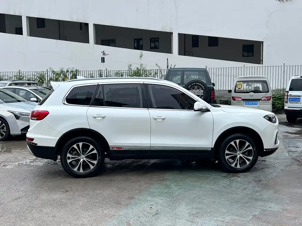 MUSTANG MOTORS MUSTANG T80