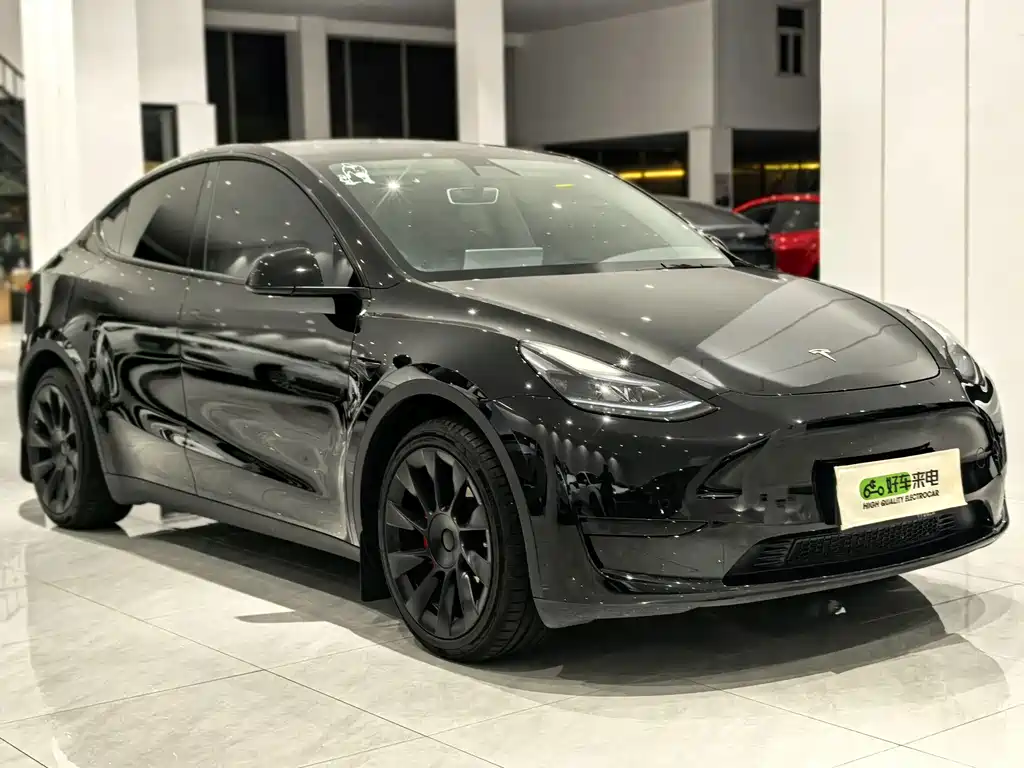 Tesla Model Y — миниатюра 3