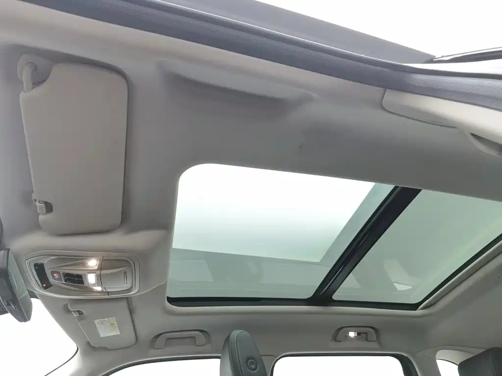 Haval Big Dog — миниатюра 14