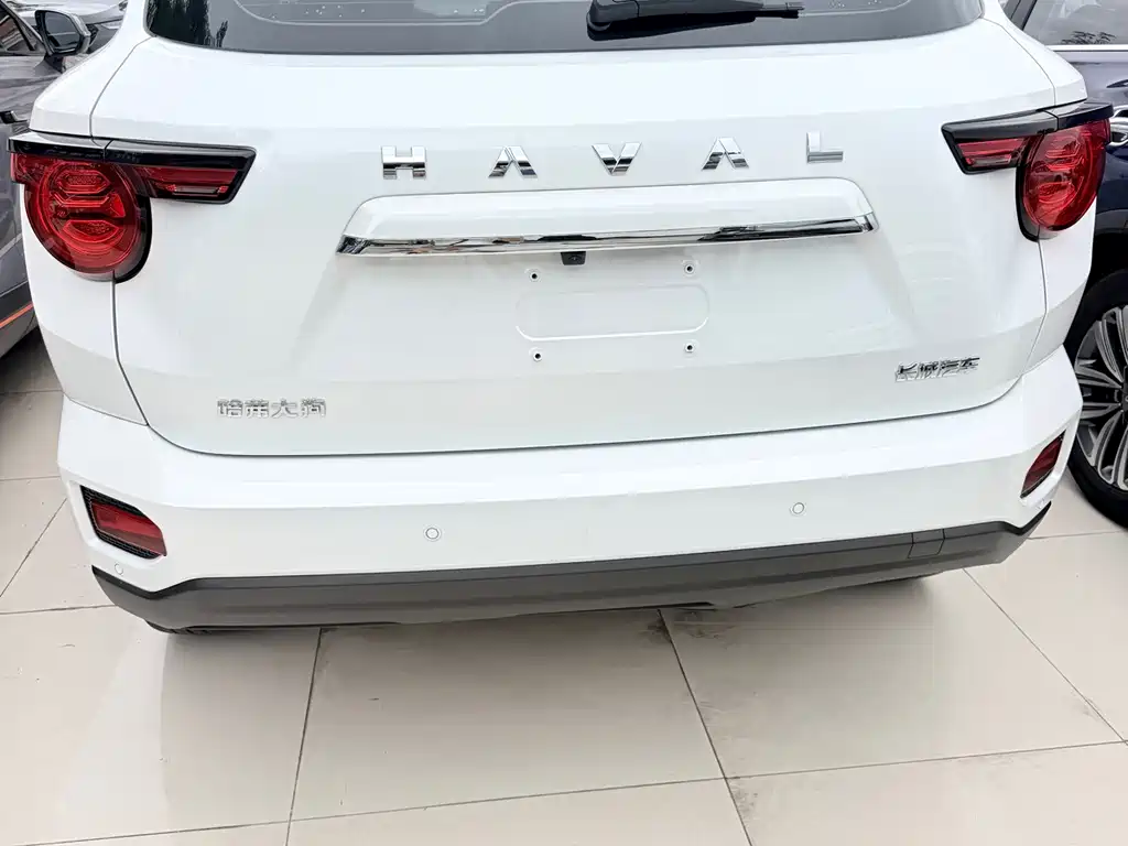 Haval Big Dog PLUS — миниатюра 9